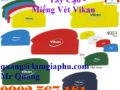 Miếng vét Vikan