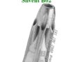 Silvent B02