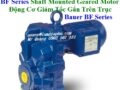 Động Cơ Giảm Tốc gắn Trên Trục Bauer BF Series
