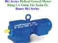 Động Cơ Giảm Tốc Xoắn Ốc Bauer BG Series