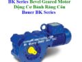 Động Cơ Bánh Răng Côn Bauer BK Series