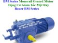 Động Cơ Giảm Tốc Một Ray Bauer BM Series