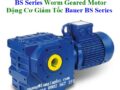 Động Cơ Giảm Tốc Bauer BS Series