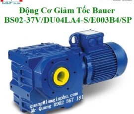 Động Cơ Giảm Tốc Bauer BS02-37V/DU04LA4-S/E003B4/SP