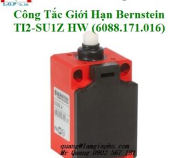 Công Tắc Giới Hạn Bernstein TI2-SU1Z HW, Art No. 6088171016