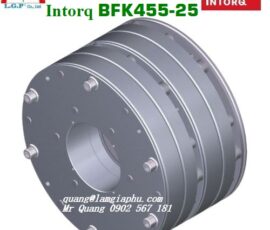Intorq BFK455-25