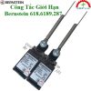Công Tắc Bernstein 618.6189.287