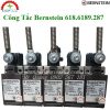 Công tắc giới hạn Bernstein 618.6189.287