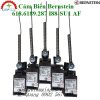 Cảm Biến Bernstein 618.6189.287