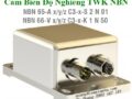 Cảm biến độ nghiêng TWK NBN