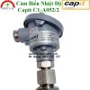 Cảm Biến Nhiệt Độ Capit C1