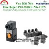 Van Hoerbiger P20 - Van Khí Nén Hoerbiger P20 381RF-NG-CPN