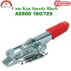 Speedy Block AS500