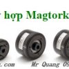 Magnetic Magtork